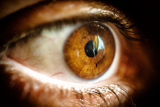close-up of an eye