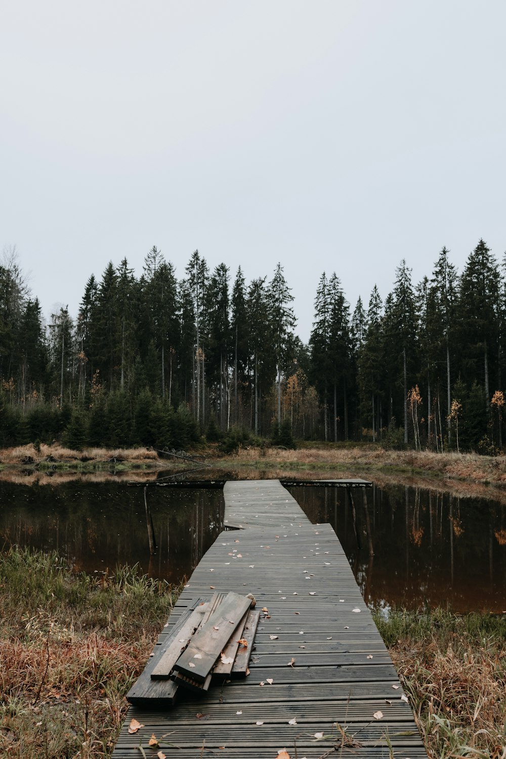 a wooden dock over a body of water with trees in the background