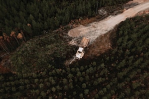 A dump truck filled with tree and lot debris ready for removal from a wooded area.