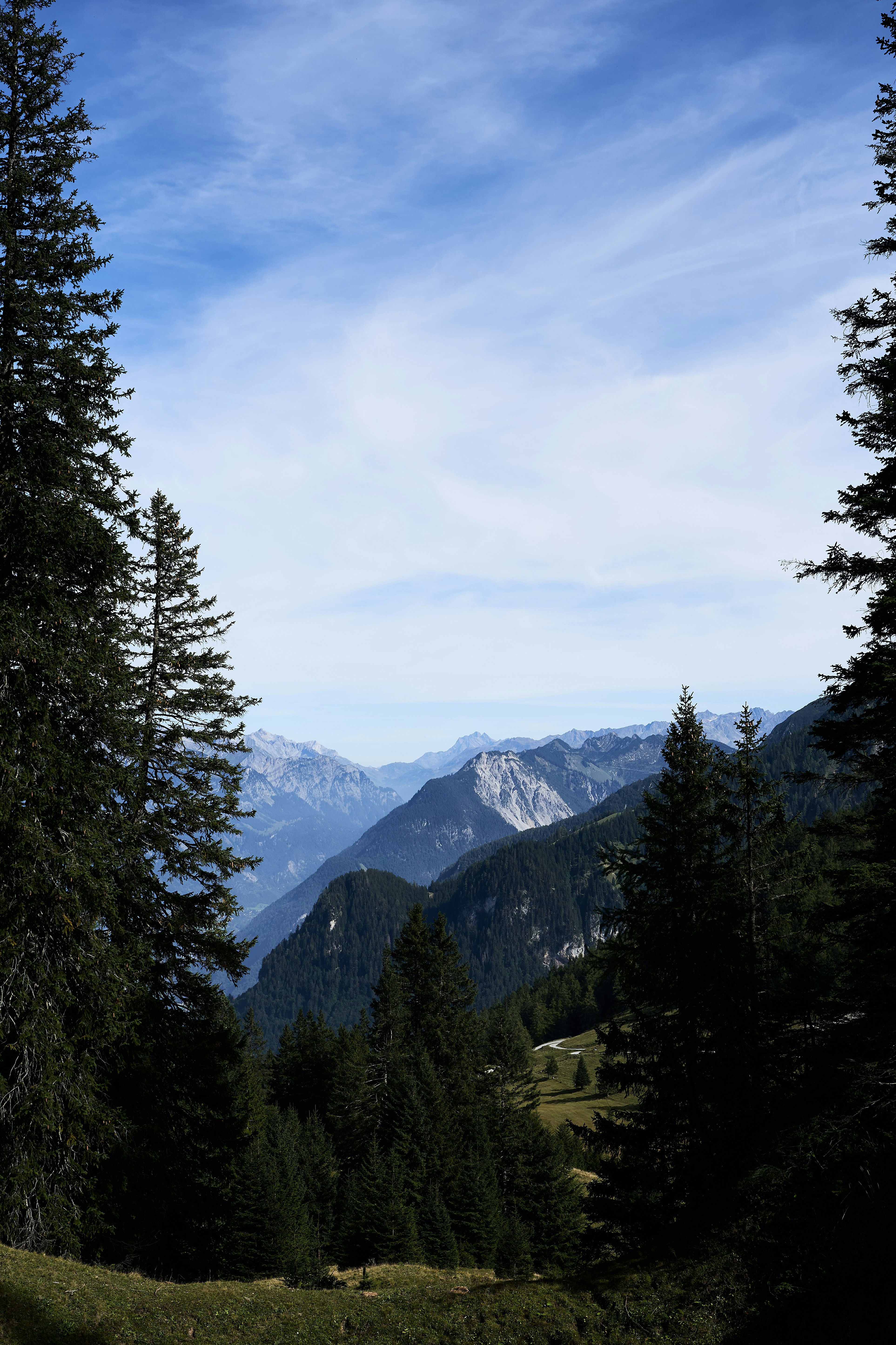 Photo by wolfgang_hasselmann