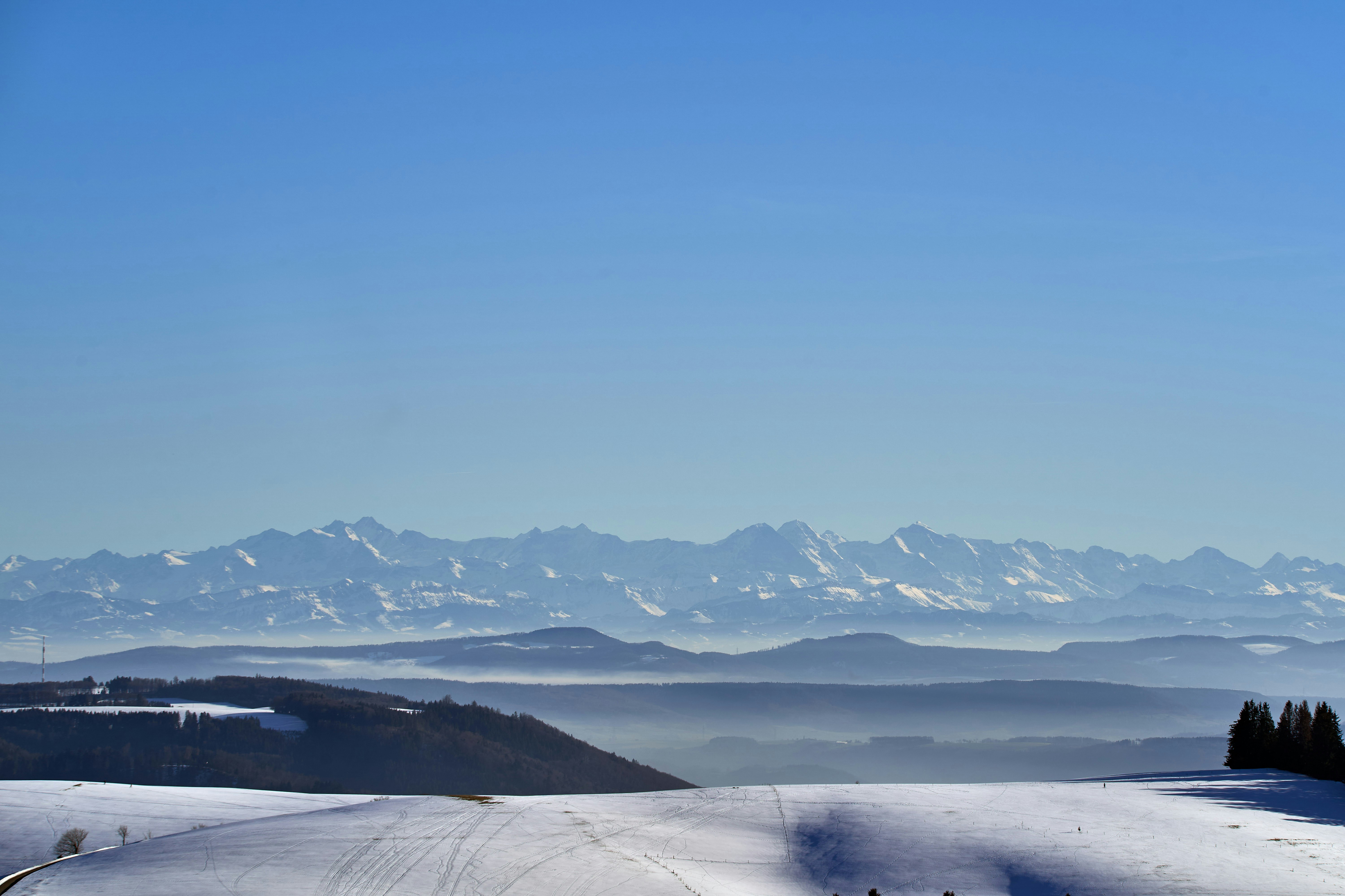 Photo by wolfgang_hasselmann