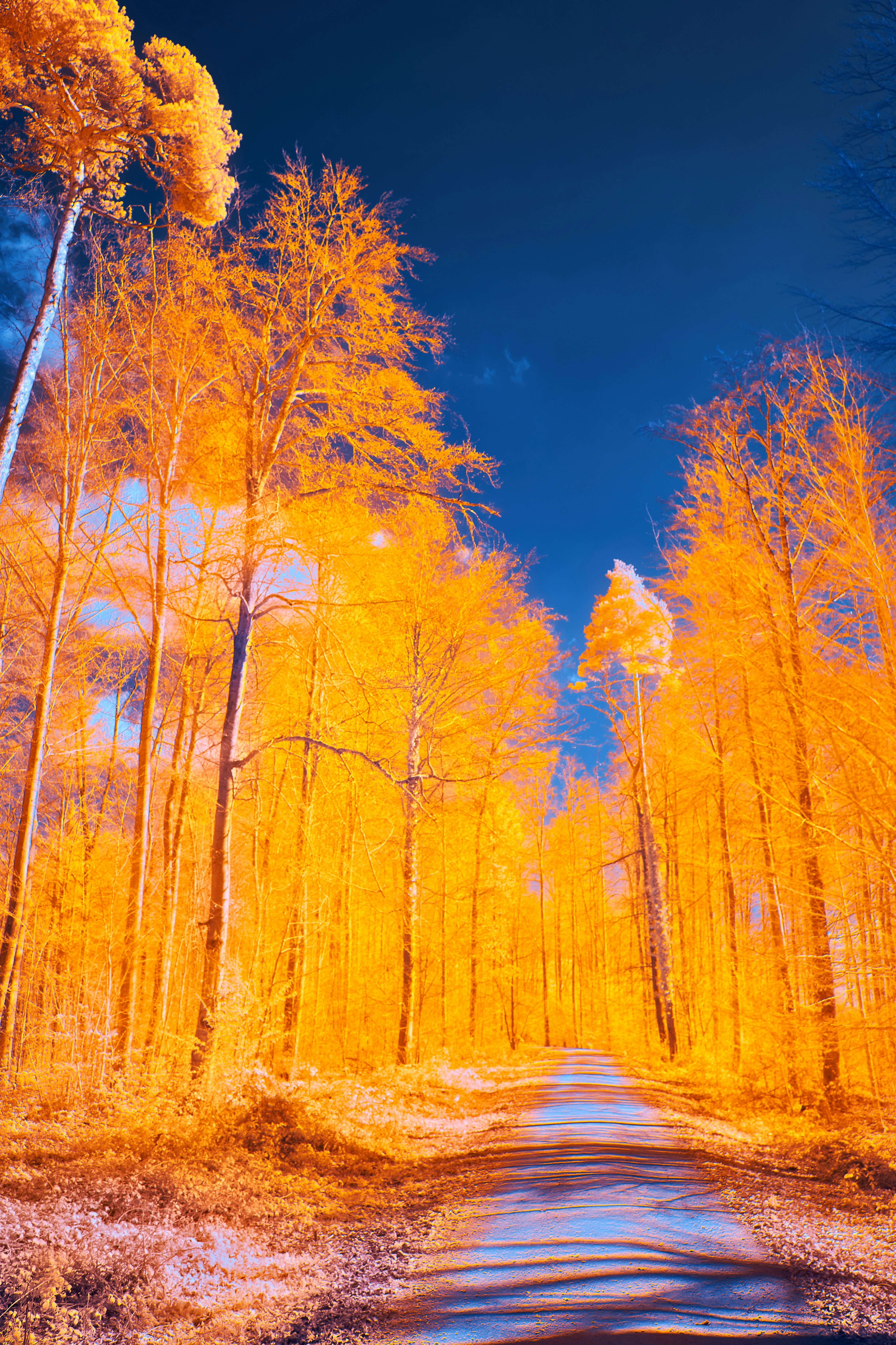 Photo by wolfgang_hasselmann