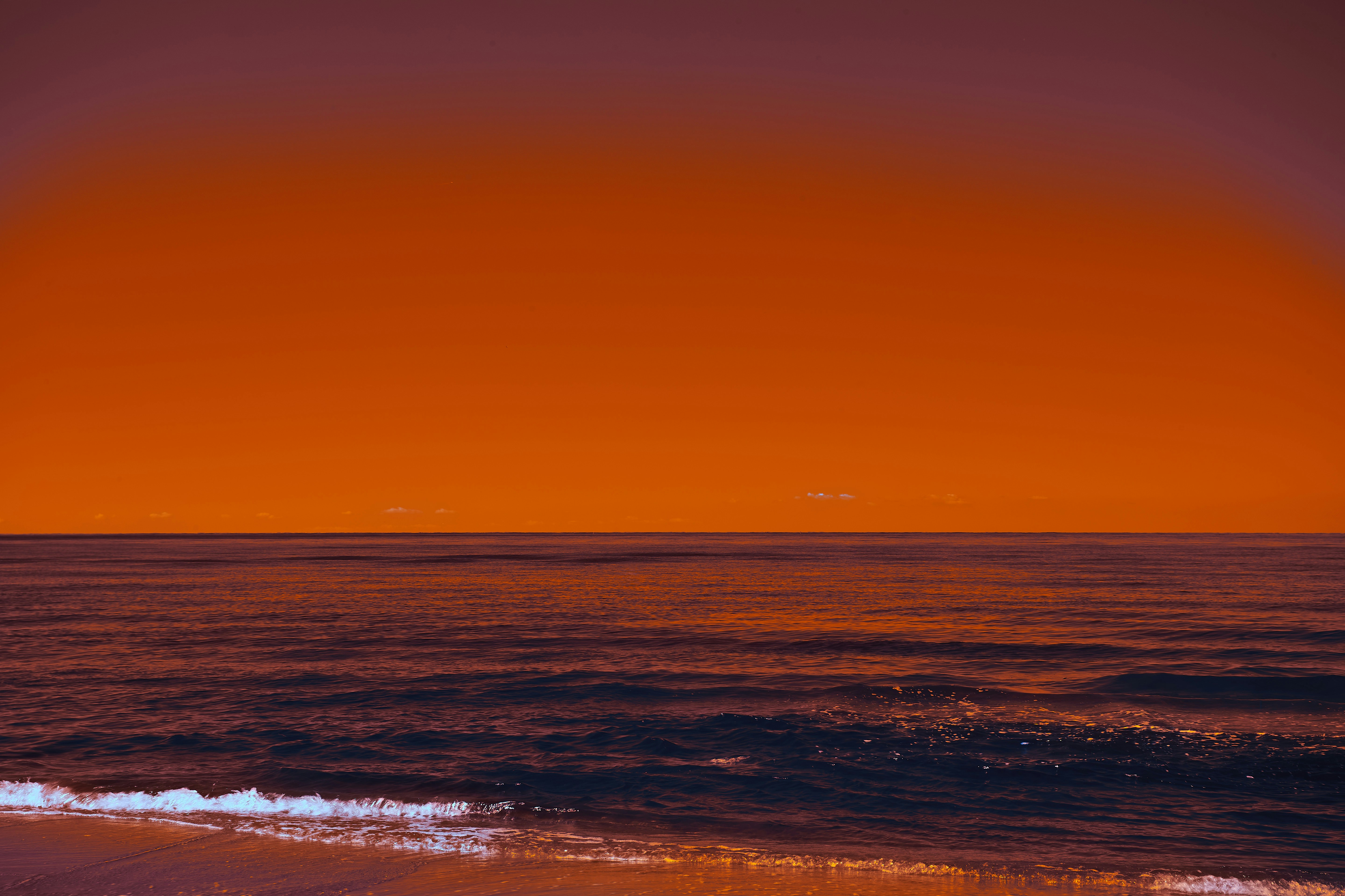 Photo by wolfgang_hasselmann