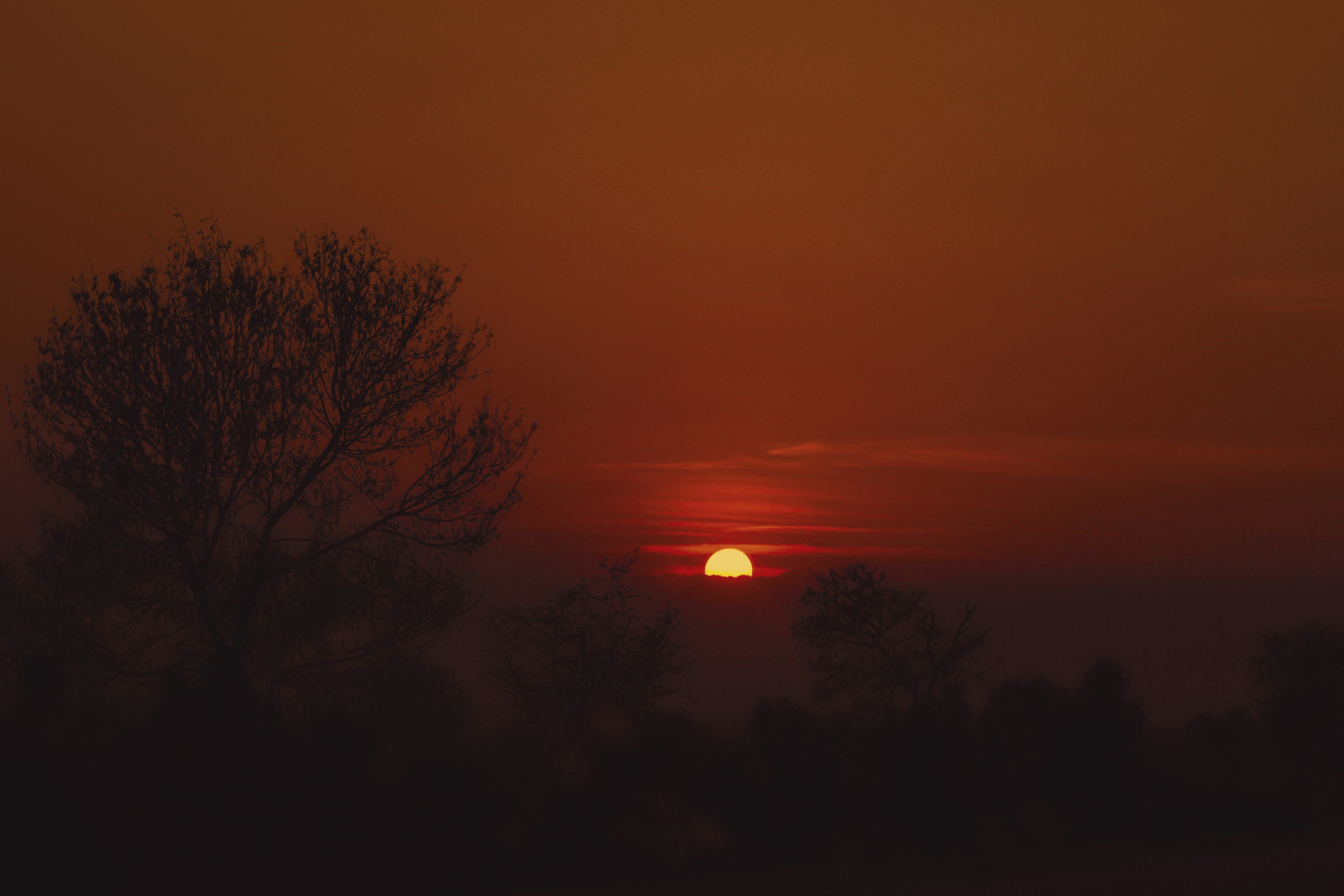 Photo by miphotography