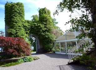 An ancient stone archway is covered in lush green ivy, creating a natural and historic ambiance. To the right, a modern white glass conservatory structure offers a contrast with its sleek design. The foreground features a gravel path edged by vibrant red and green foliage.