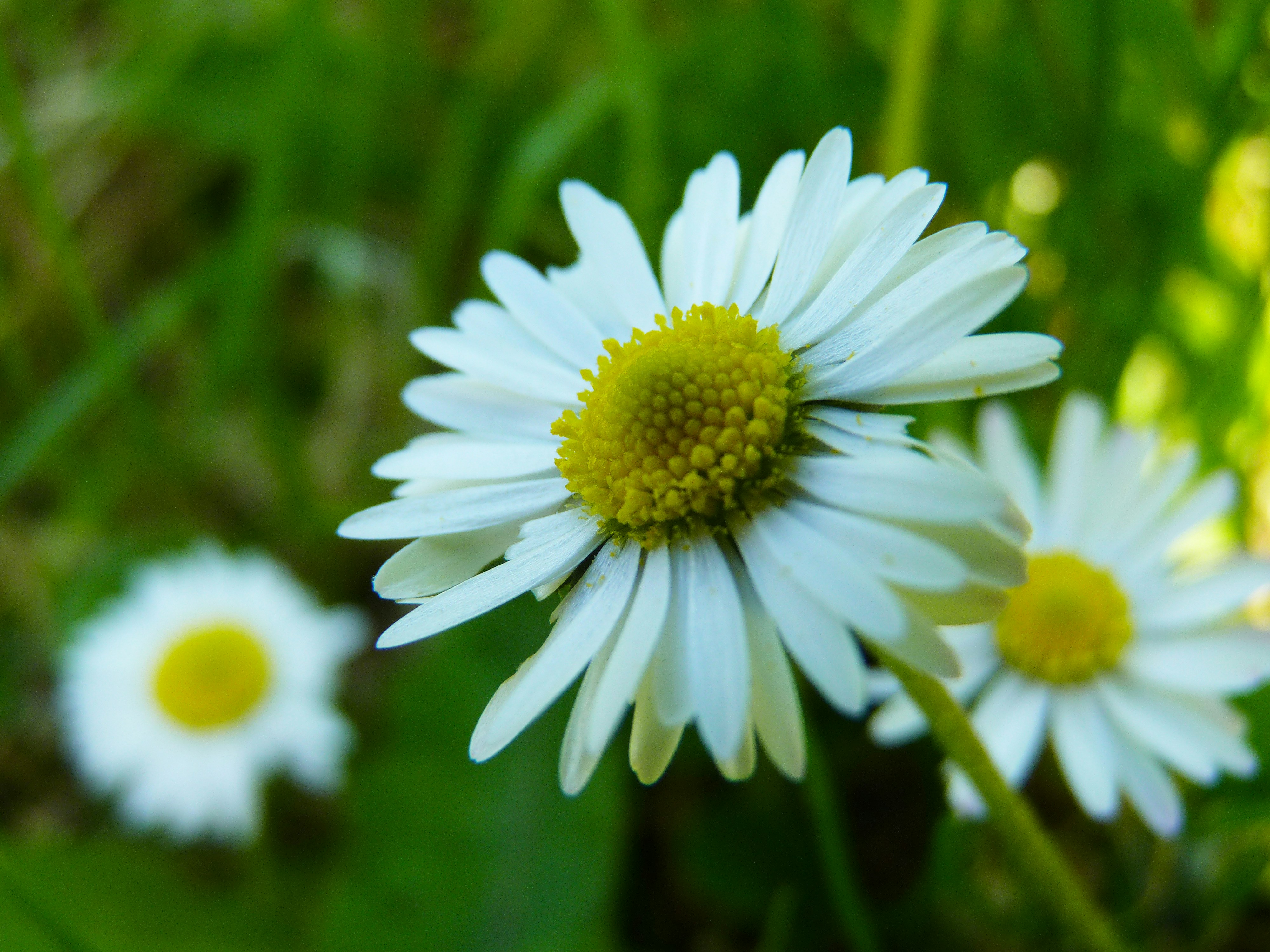 Photo by craigthomas