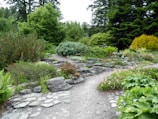 A lush backyard landscape with winding stone pathways and native plants.