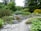 A lush garden landscape featuring a winding gravel path surrounded by various green shrubs, ferns, and flowering plants. Large trees provide a dense backdrop, creating a serene and natural setting. Rock formations are scattered throughout, contributing to the garden's aesthetic.