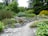 A lush garden landscape featuring a winding gravel path surrounded by various green shrubs, ferns, and flowering plants. Large trees provide a dense backdrop, creating a serene and natural setting. Rock formations are scattered throughout, contributing to the garden's aesthetic.