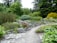 A lush garden landscape featuring a winding gravel path surrounded by various green shrubs, ferns, and flowering plants. Large trees provide a dense backdrop, creating a serene and natural setting. Rock formations are scattered throughout, contributing to the garden's aesthetic.