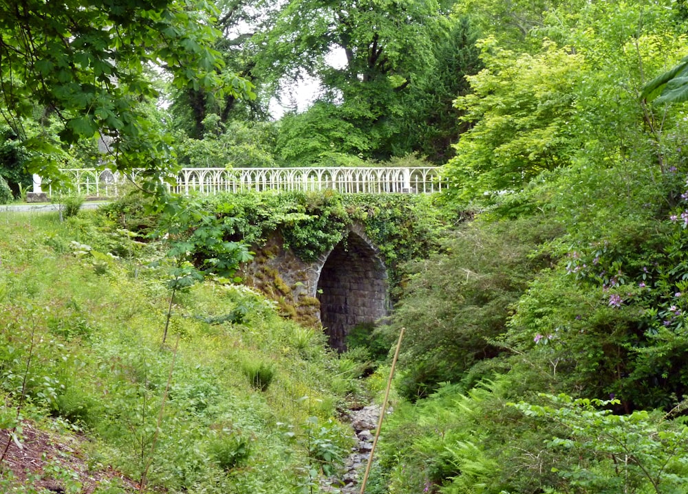 a bridge over a small stream