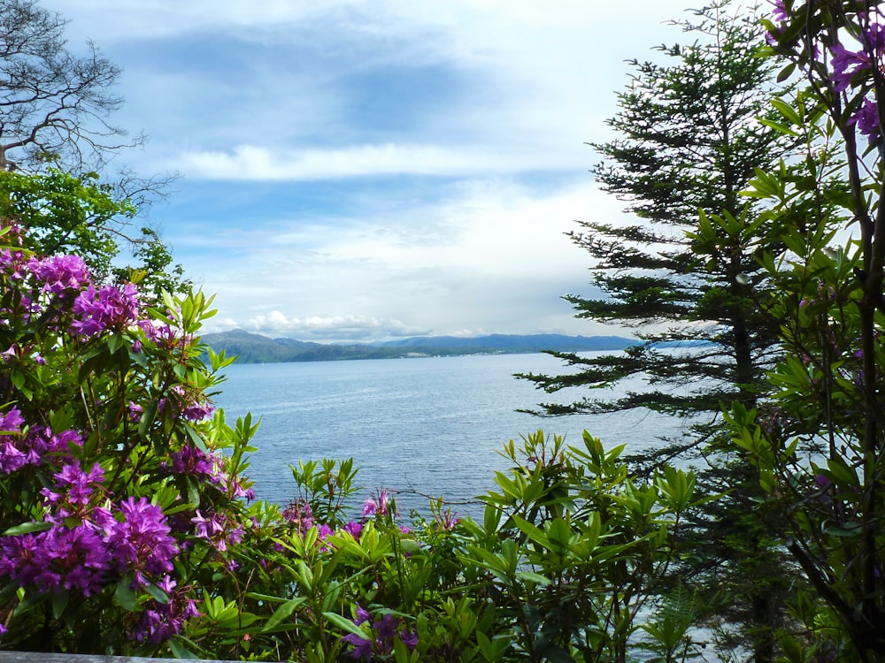 a view of a lake and mountains