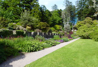 a path through a garden