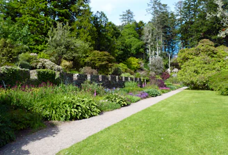 a path through a garden