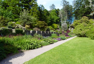a path through a garden