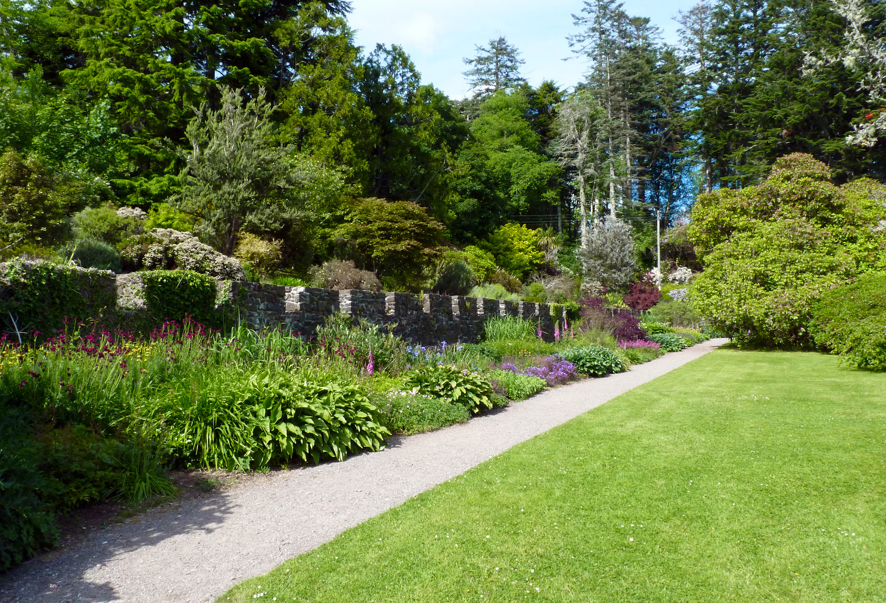 Hillcrest Garden — native plant garden designed by Palo Verde Design in Santa Ana, California