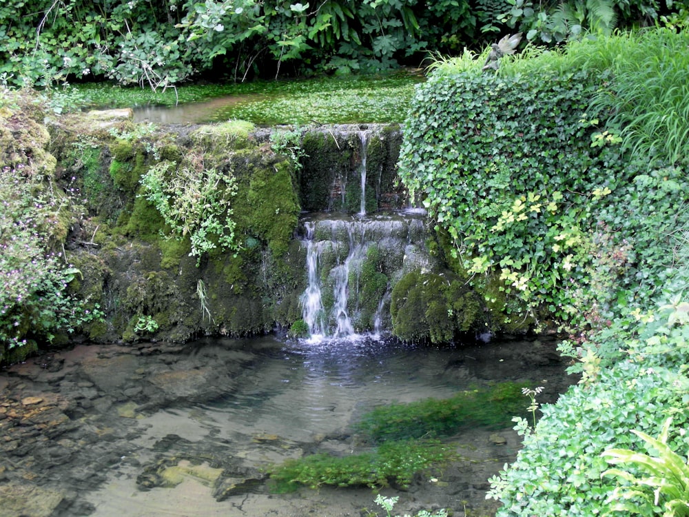 a waterfall in a garden