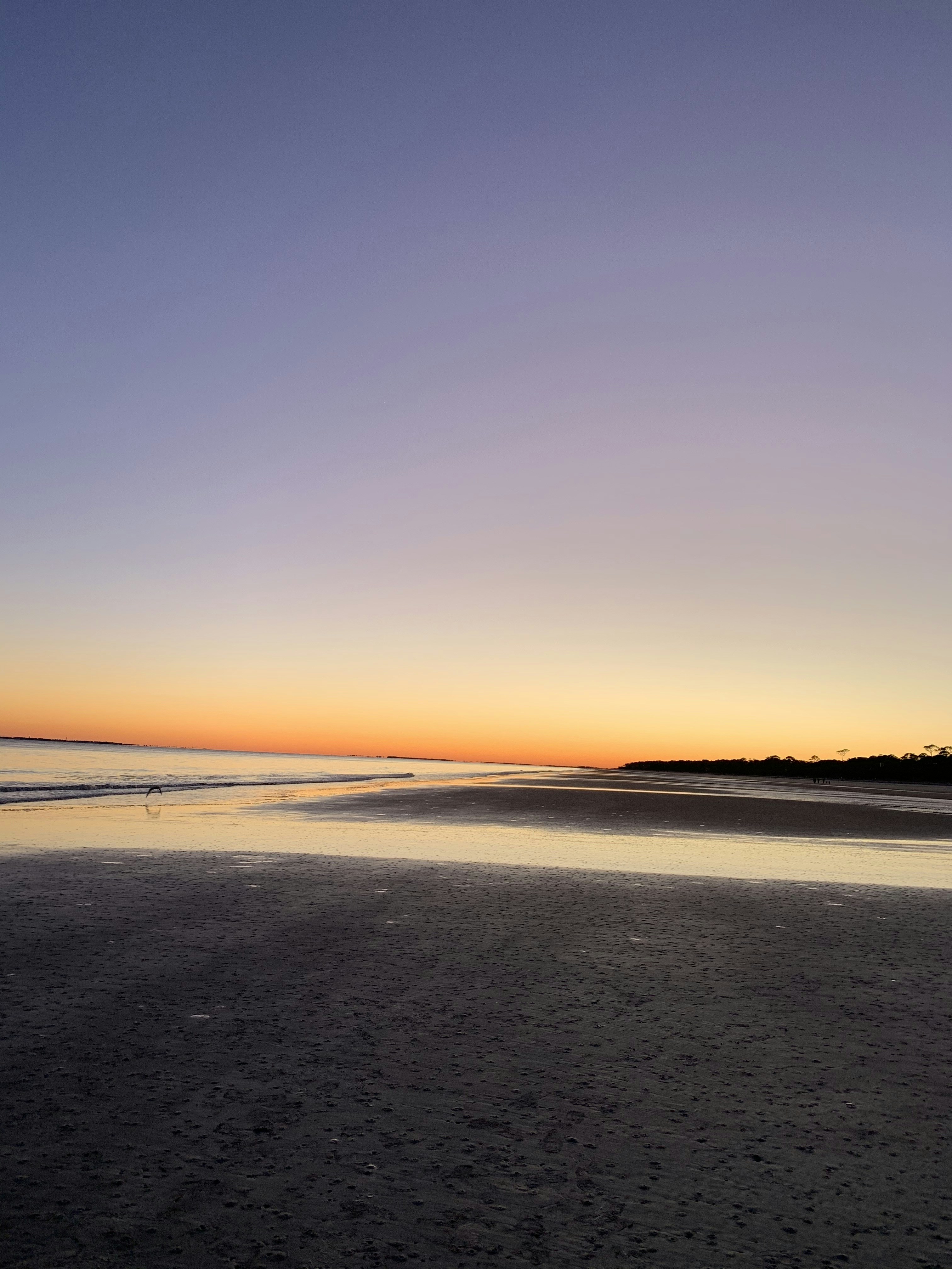 Photo by sarab_artlens1