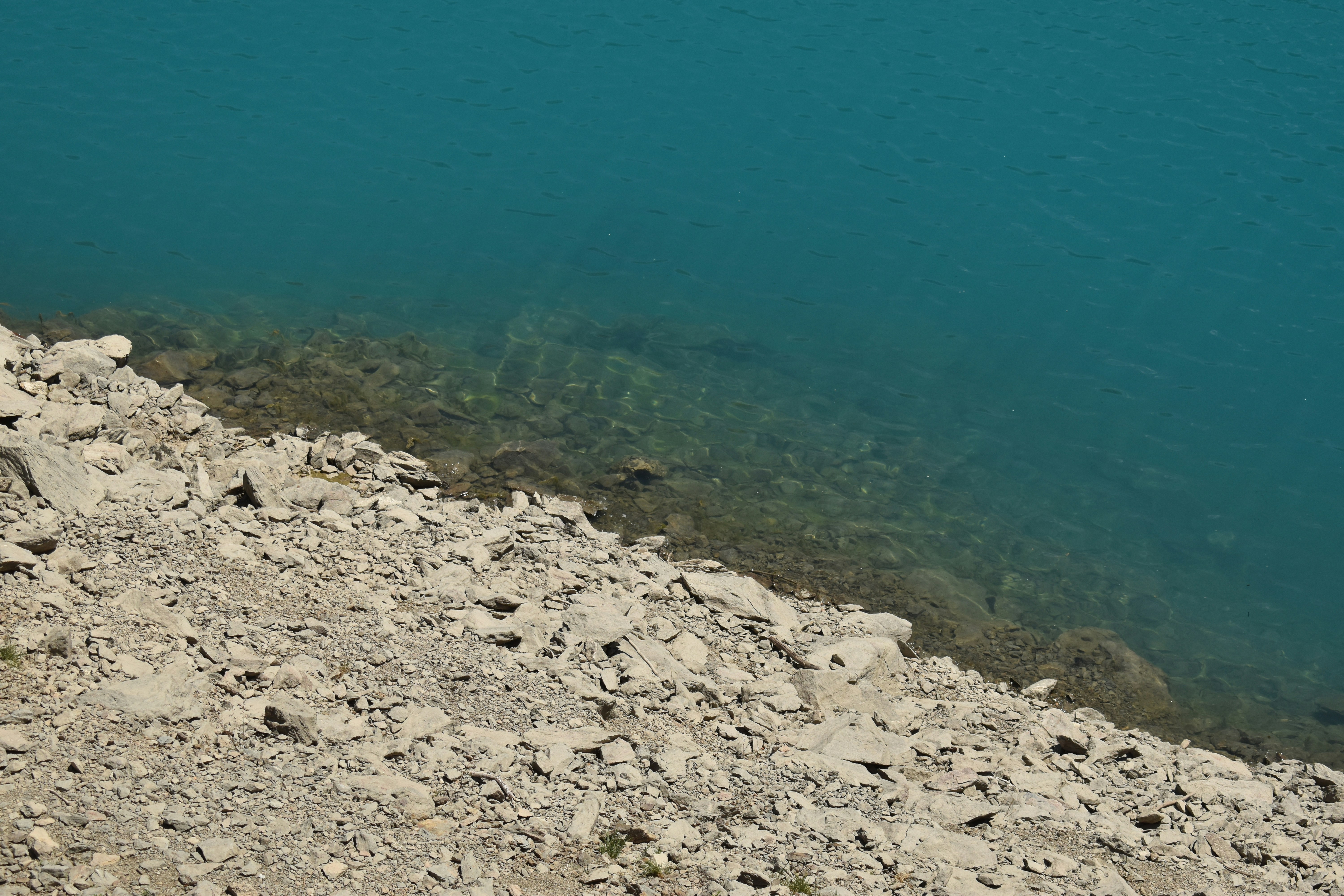 Photo by gabrielle_ms03