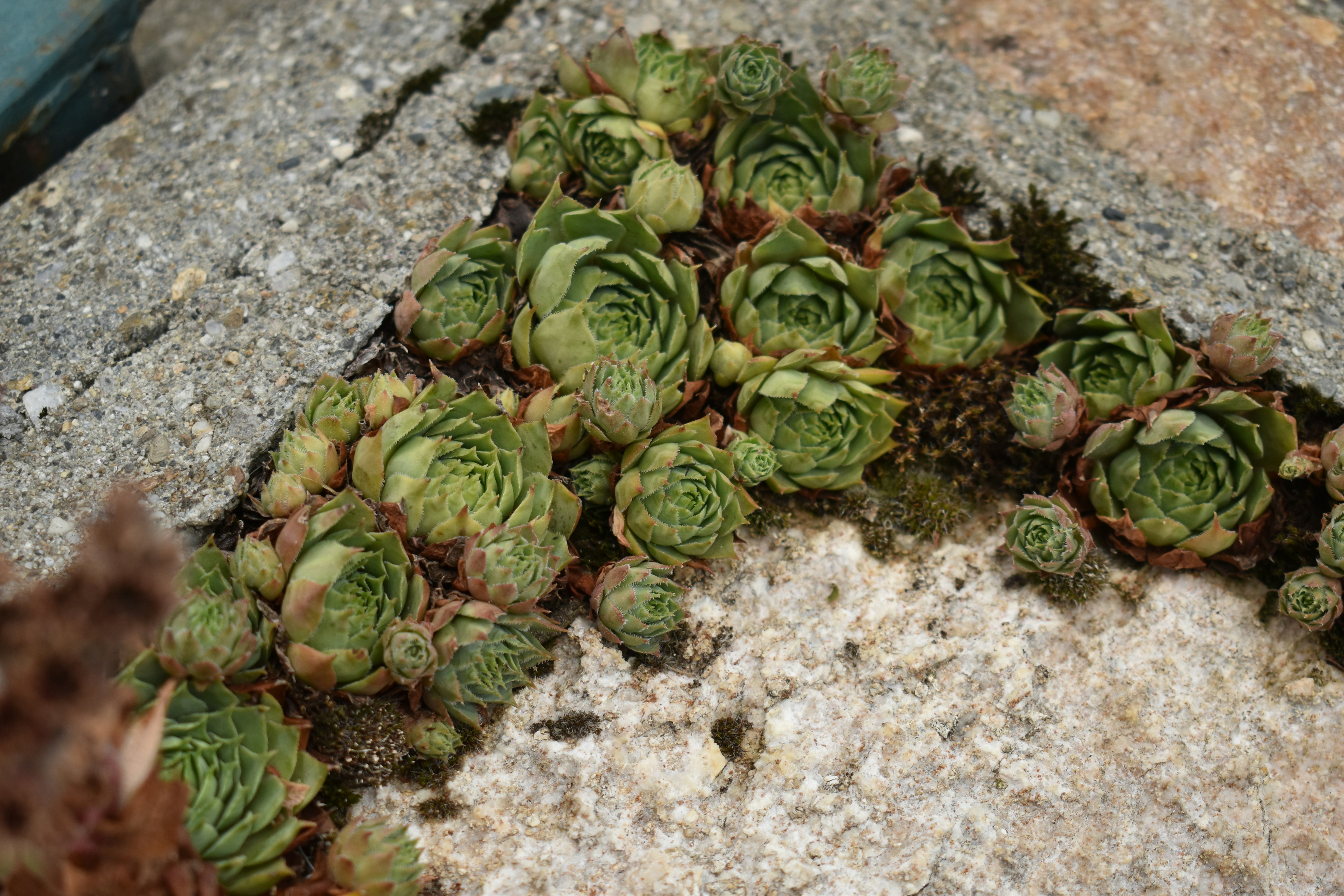 Photo by gabrielle_ms03