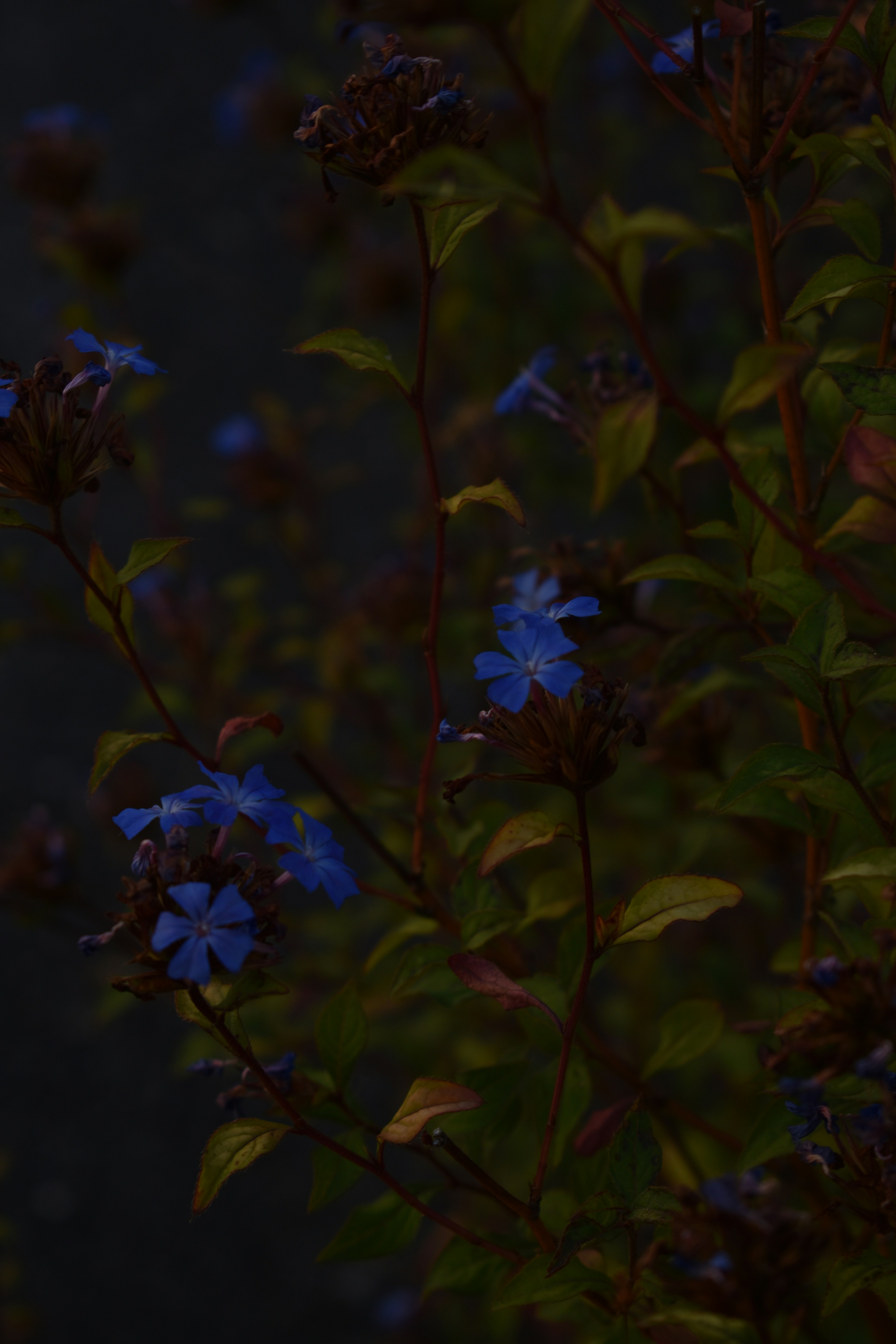 Photo by gabrielle_ms03