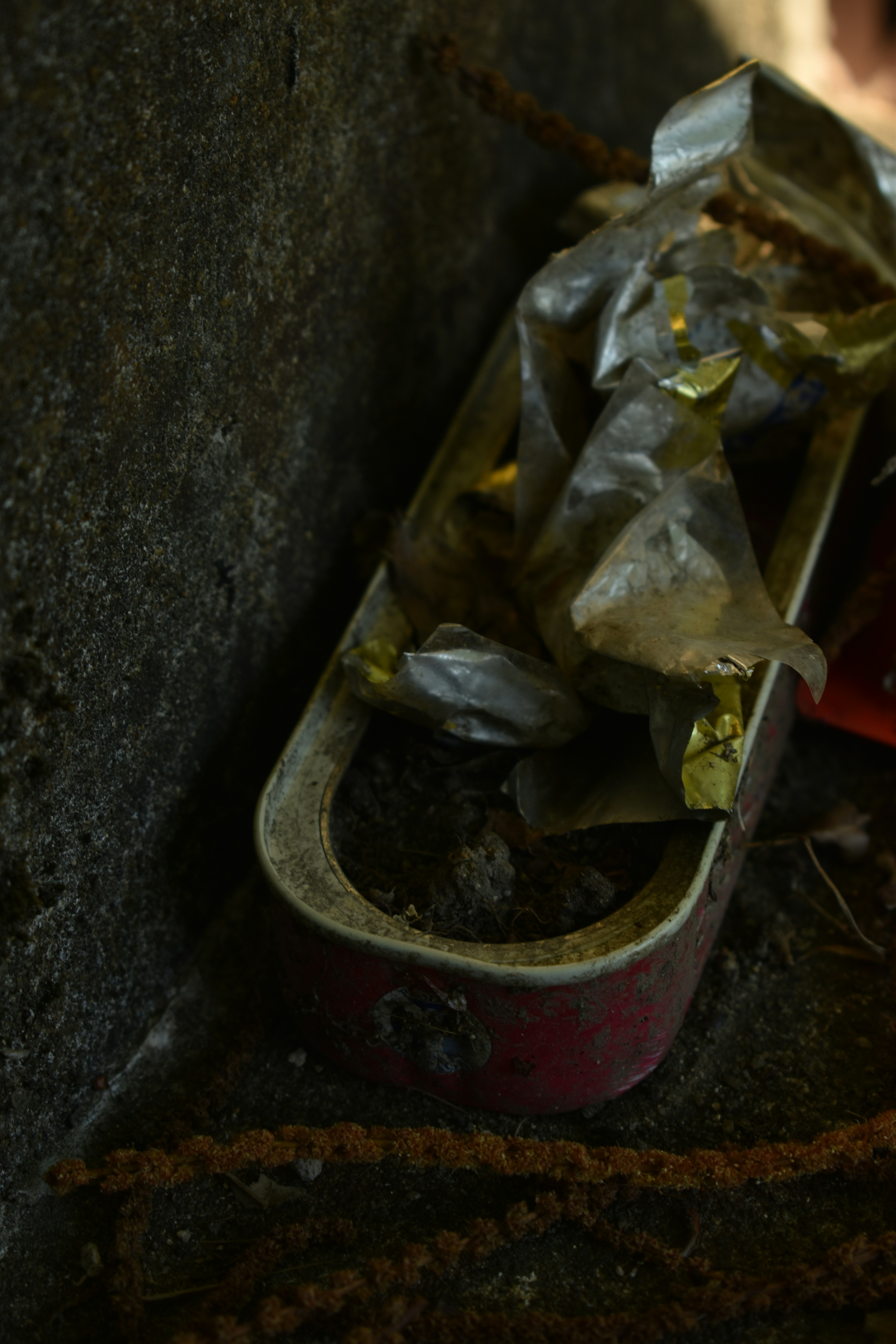 Photo by gabrielle_ms03