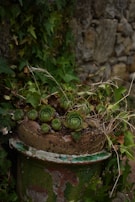A rustic clay pot sitting on a wooden shelf with trailing ivy spilling over.