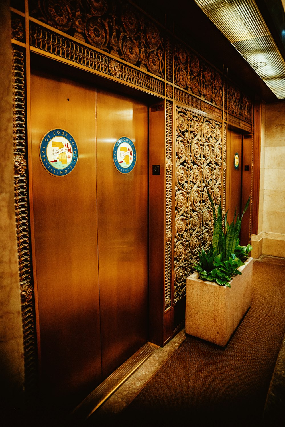 a wooden door with a plant in it