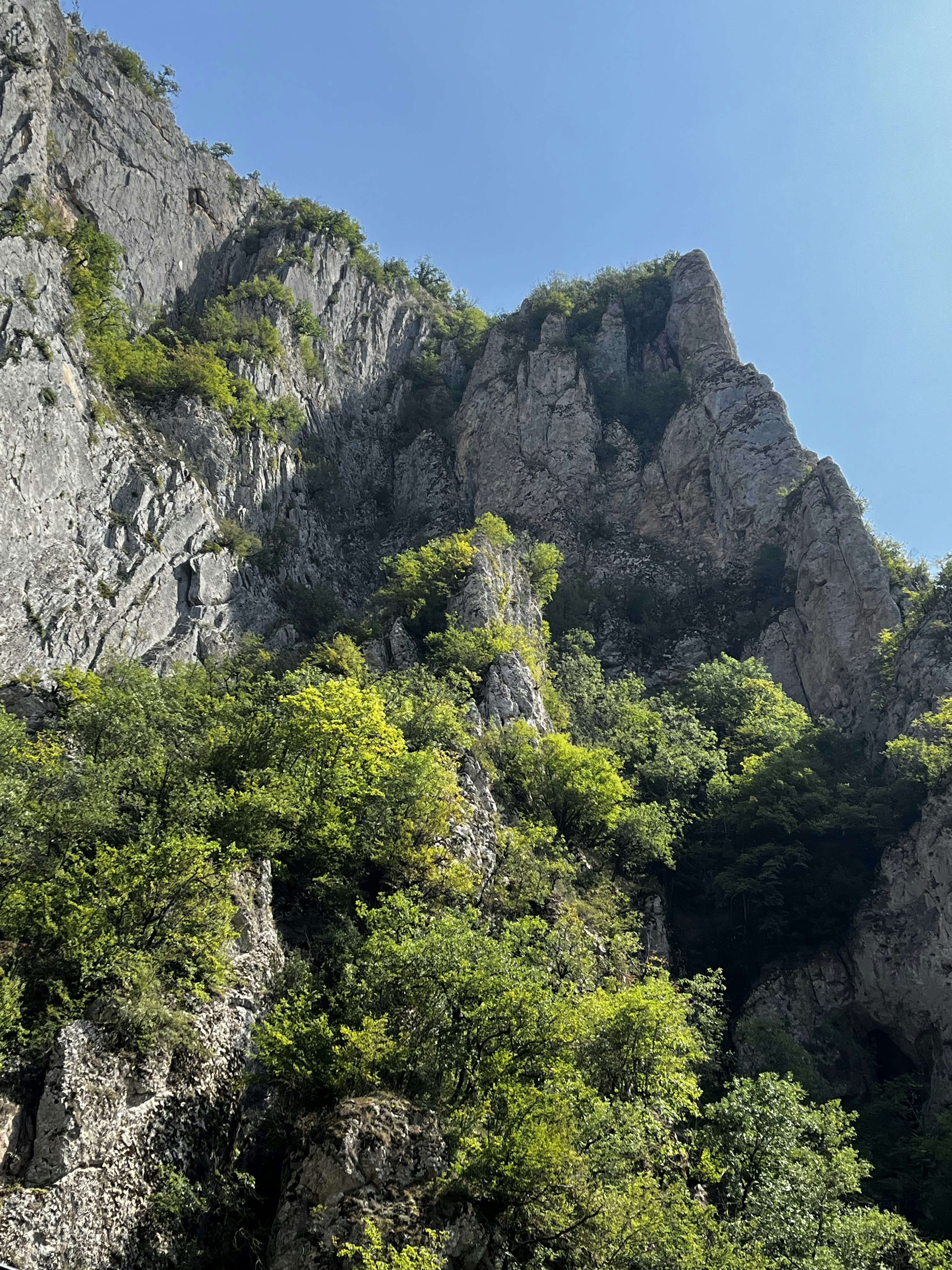 Photo by hasan_tagiyev