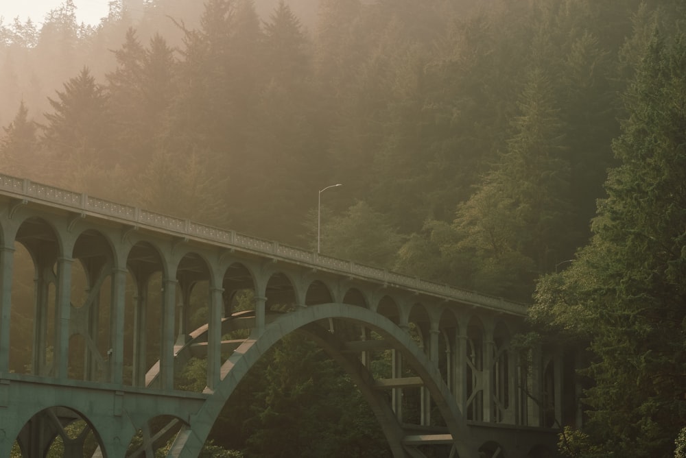 a bridge with trees on the side