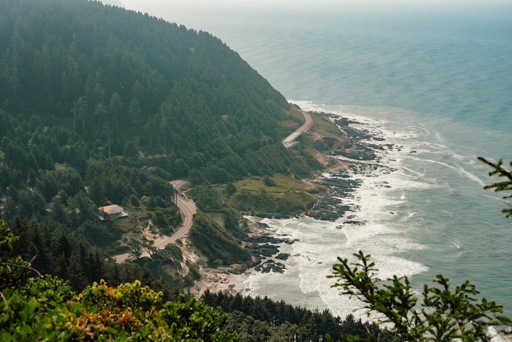 uma praia com árvores e um corpo de água