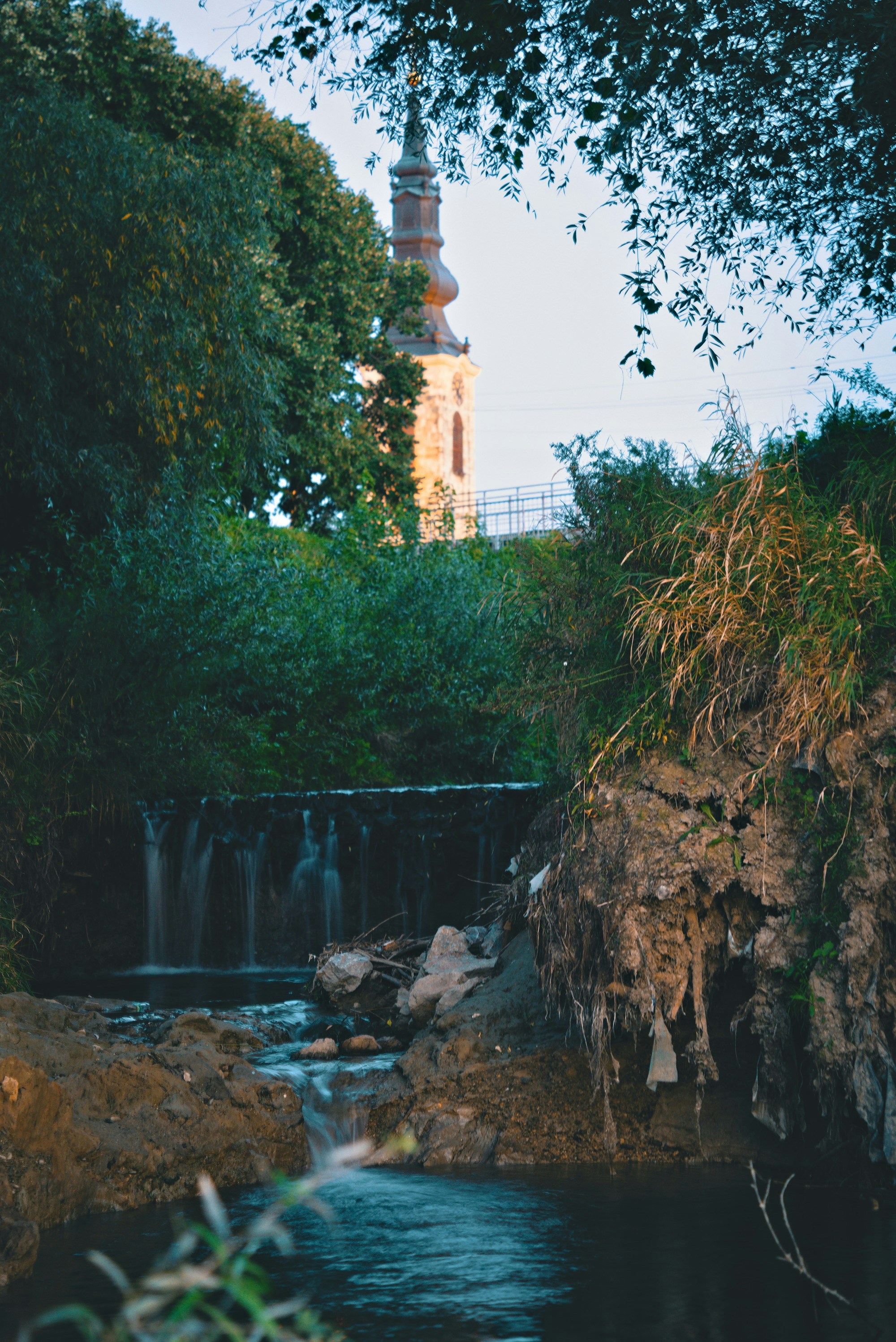 Containers in Little Falls, MN