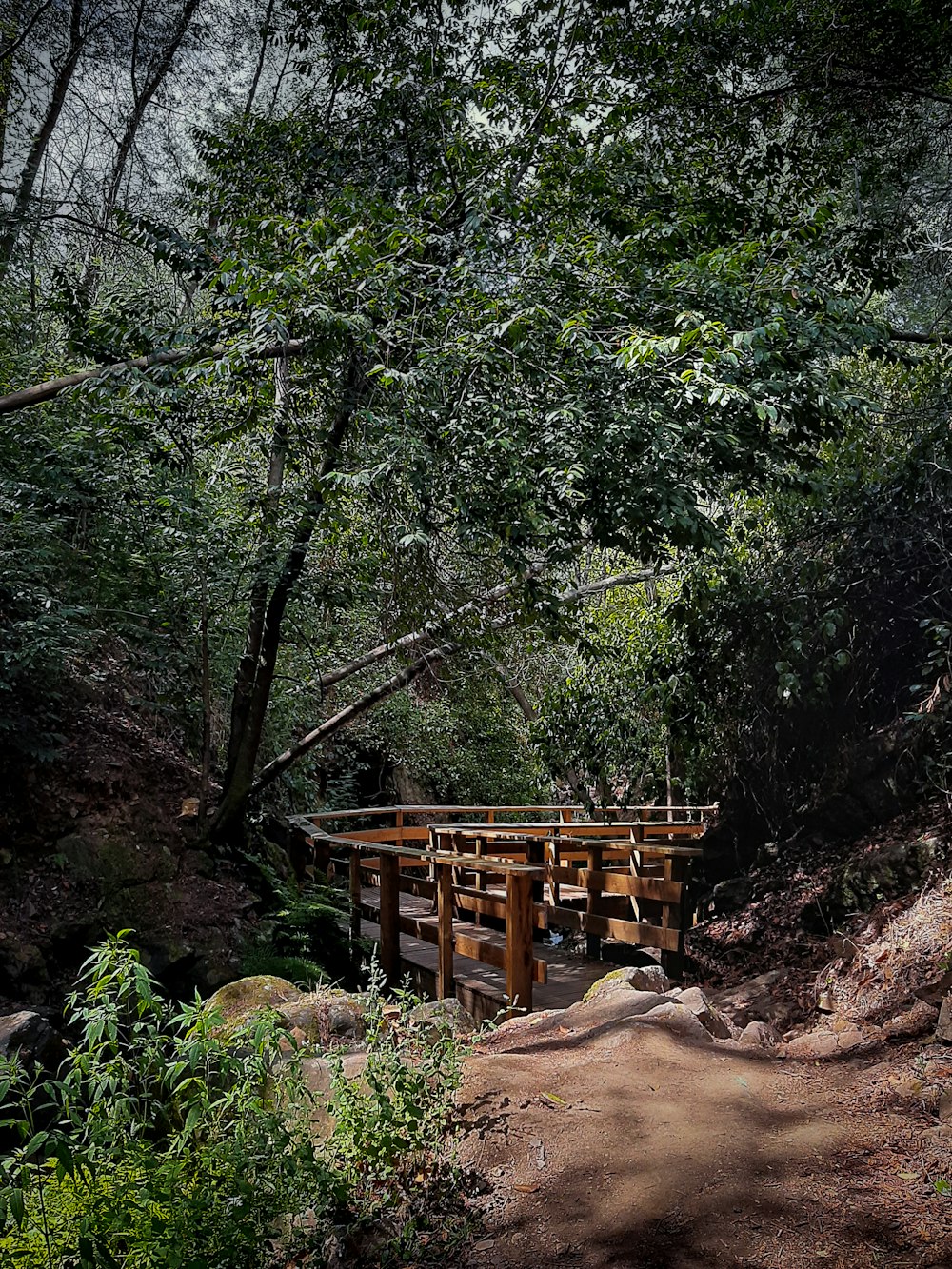 a wooden bridge over a creek