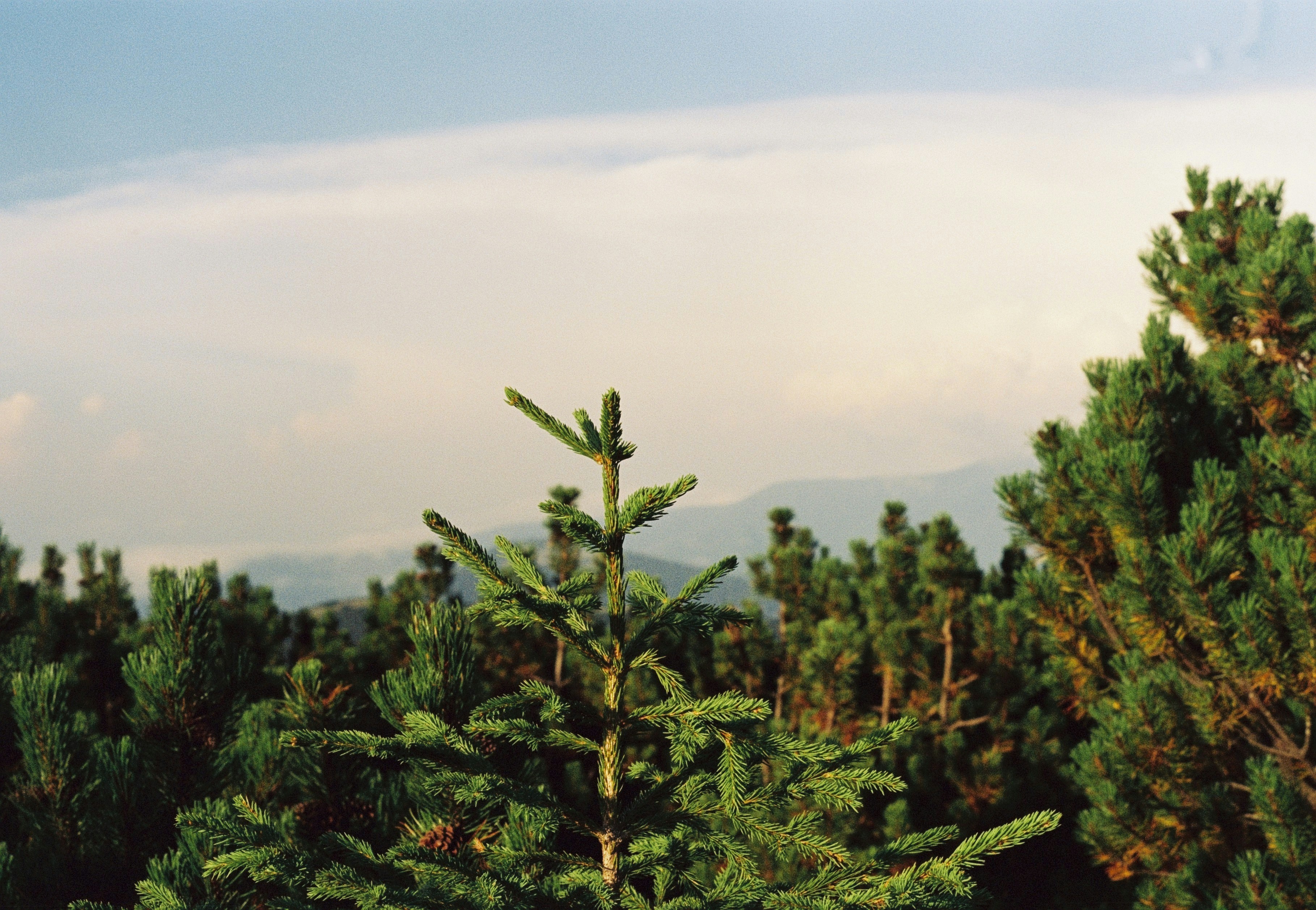 IWF und Weltbank stellten der Ukraine ein Ultimatum