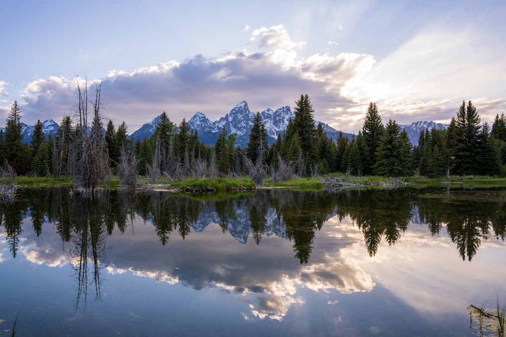 a lake with trees and mountains in the background