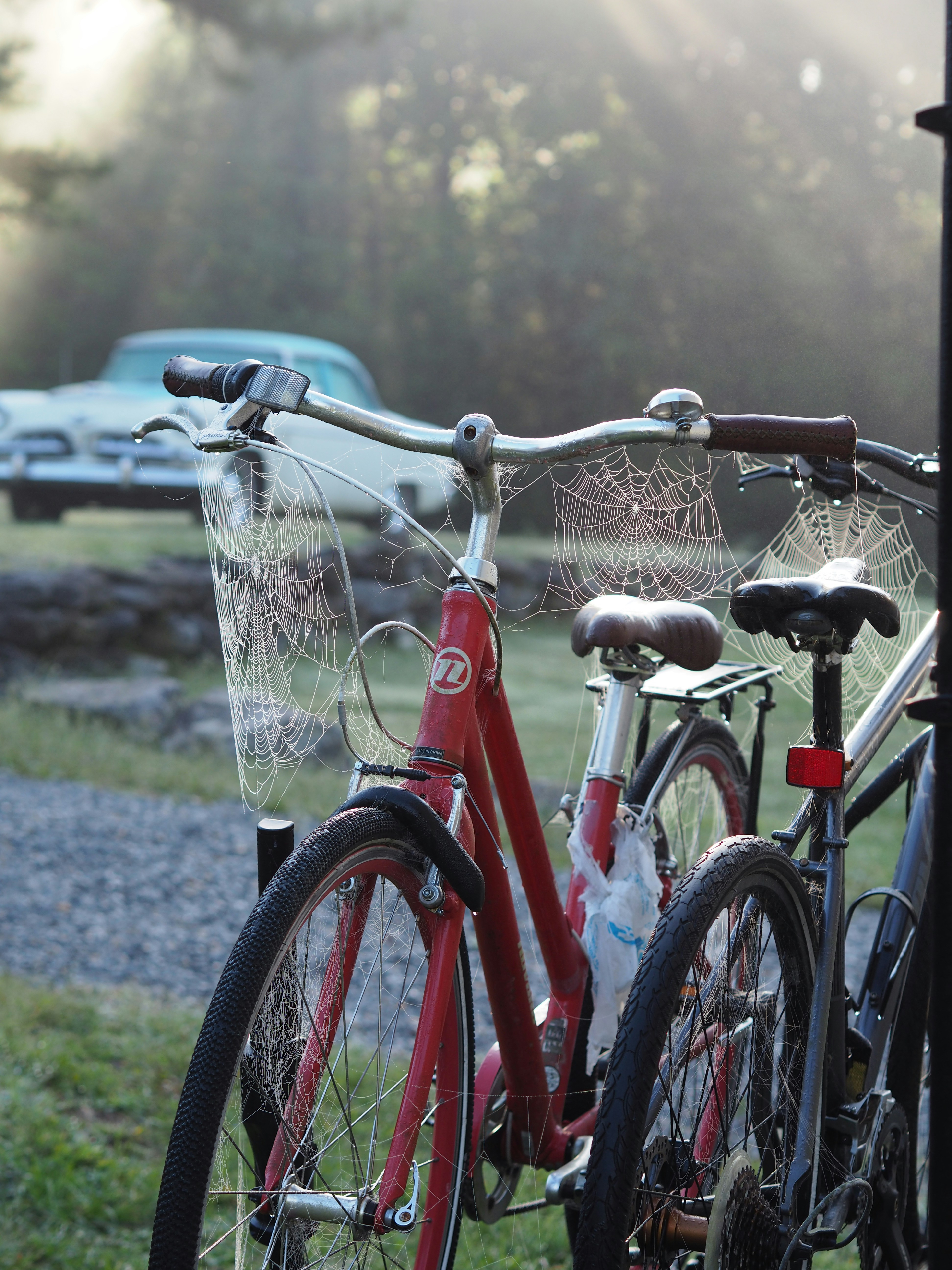 bicycles parked in the grass
