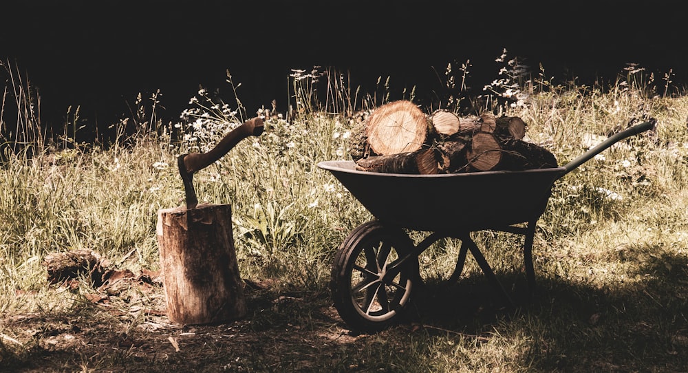 a wheelbarrow full of logs