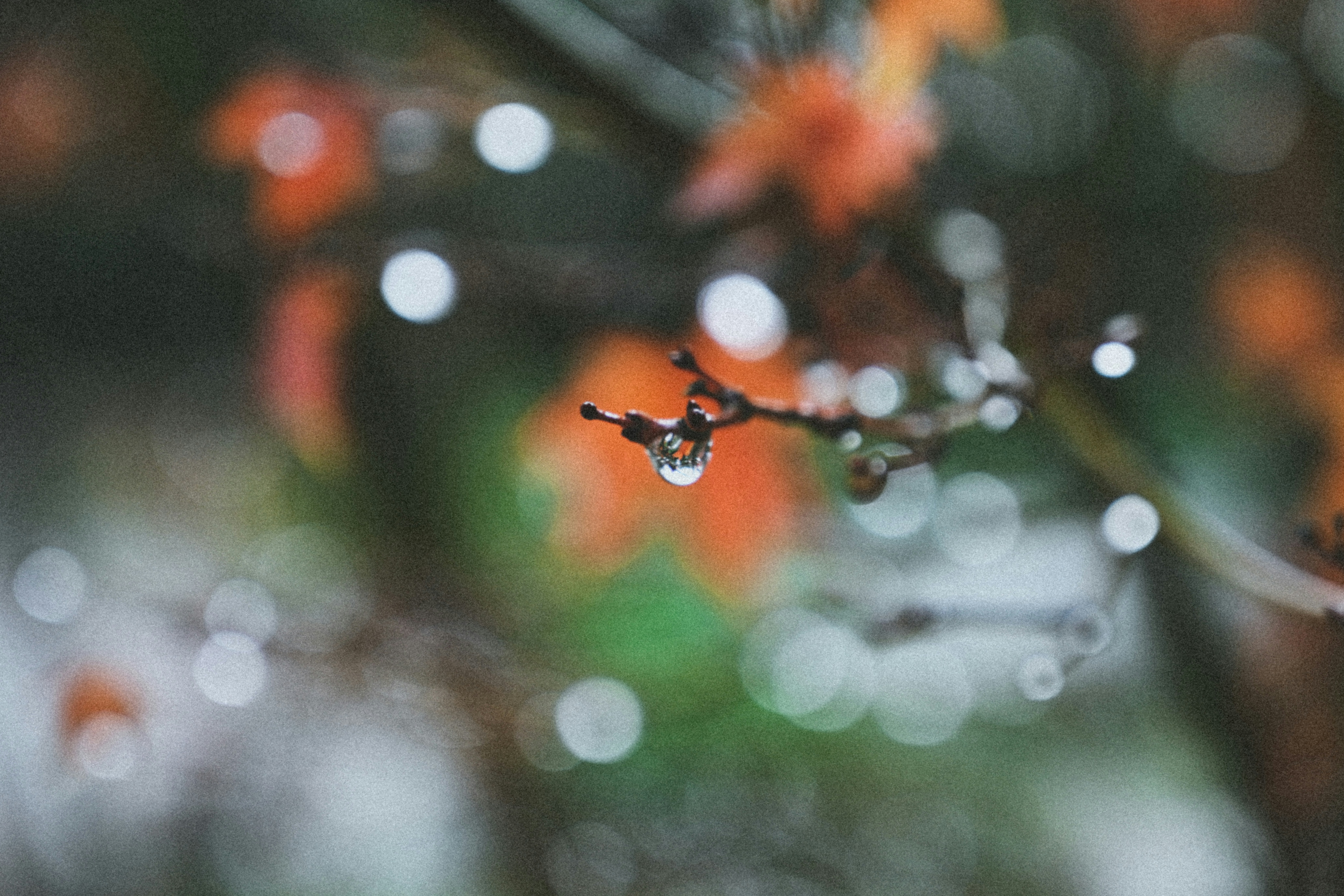 Photo by faitheraser