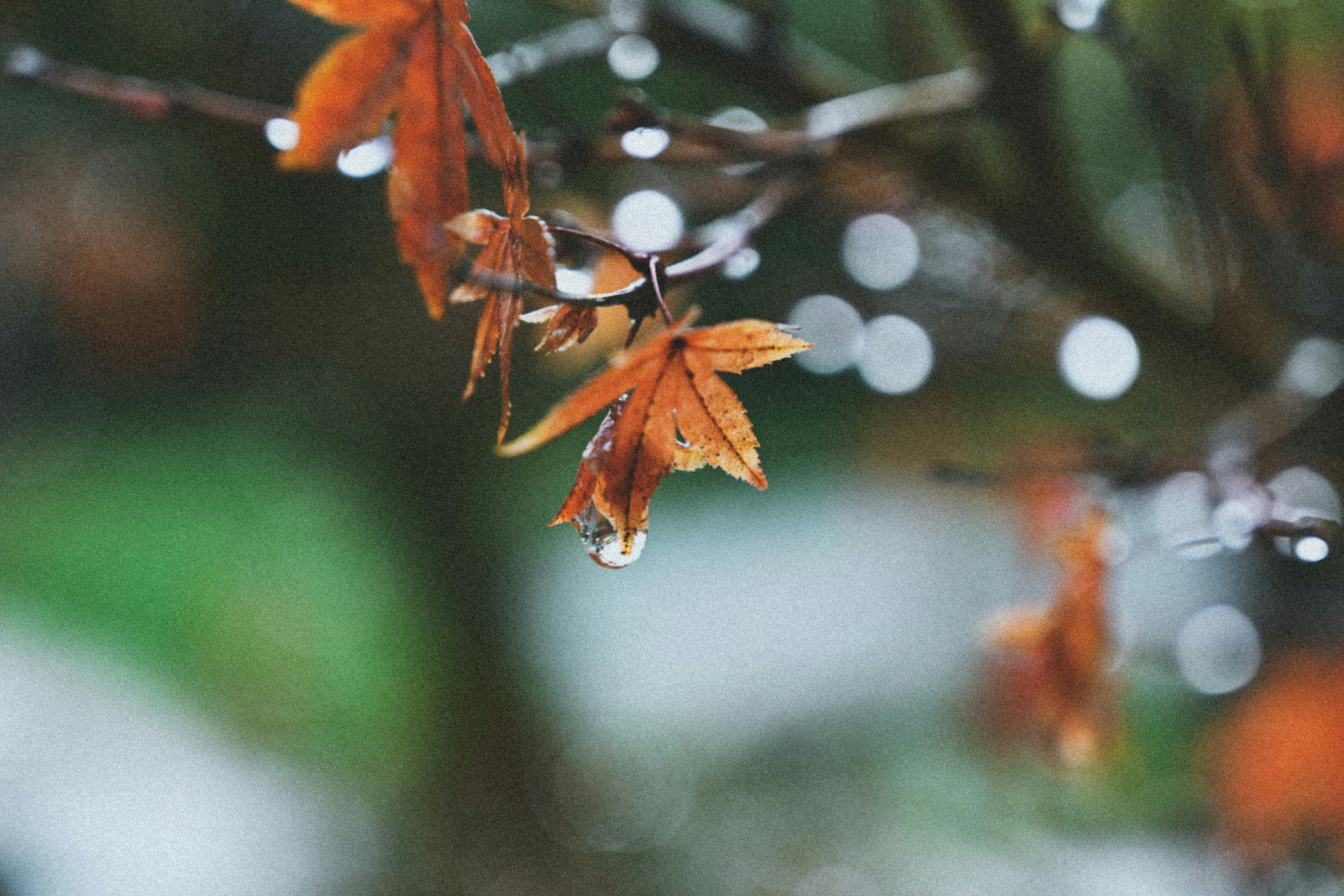 Photo by faitheraser