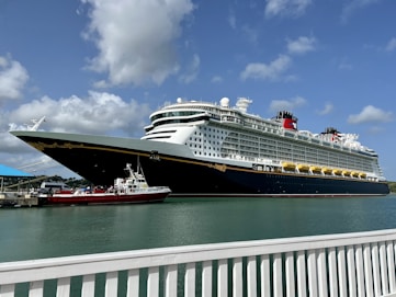 a large cruise ship docked