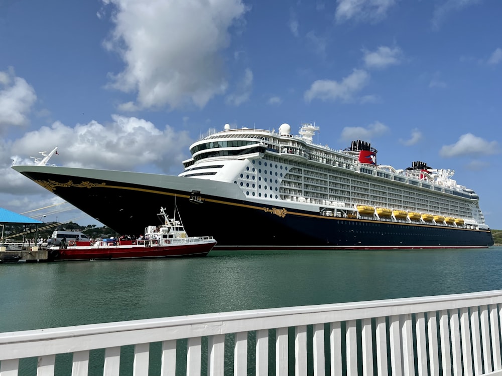 a large cruise ship docked