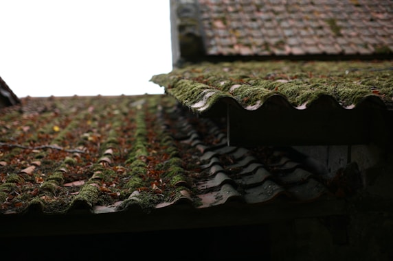 Before and after photo of a roof in Lyon cleaned from moss and dirt.