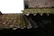 Before and after images showing a moss-covered roof transformed into a spotless surface.