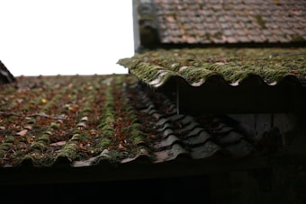 Moss-covered roof tiles are seen in a close-up perspective, showing patterns of natural green growth mixed with scattered dry leaves. The image has a rustic and aged appearance, with the roof texture and organic elements creating a contrast against a dim, overcast sky.