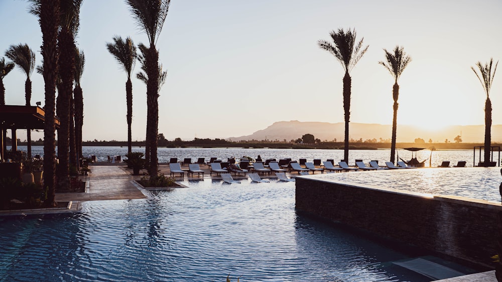 a pool with chairs and palm trees by a beach