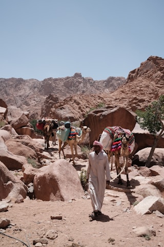 a group of people riding camels