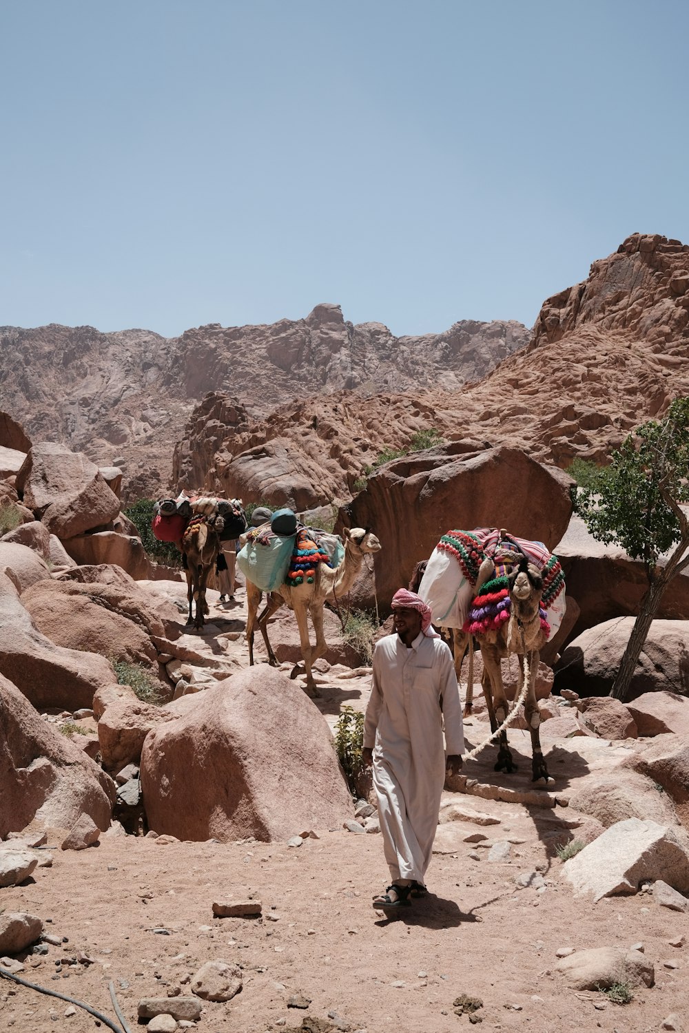 a group of people riding camels