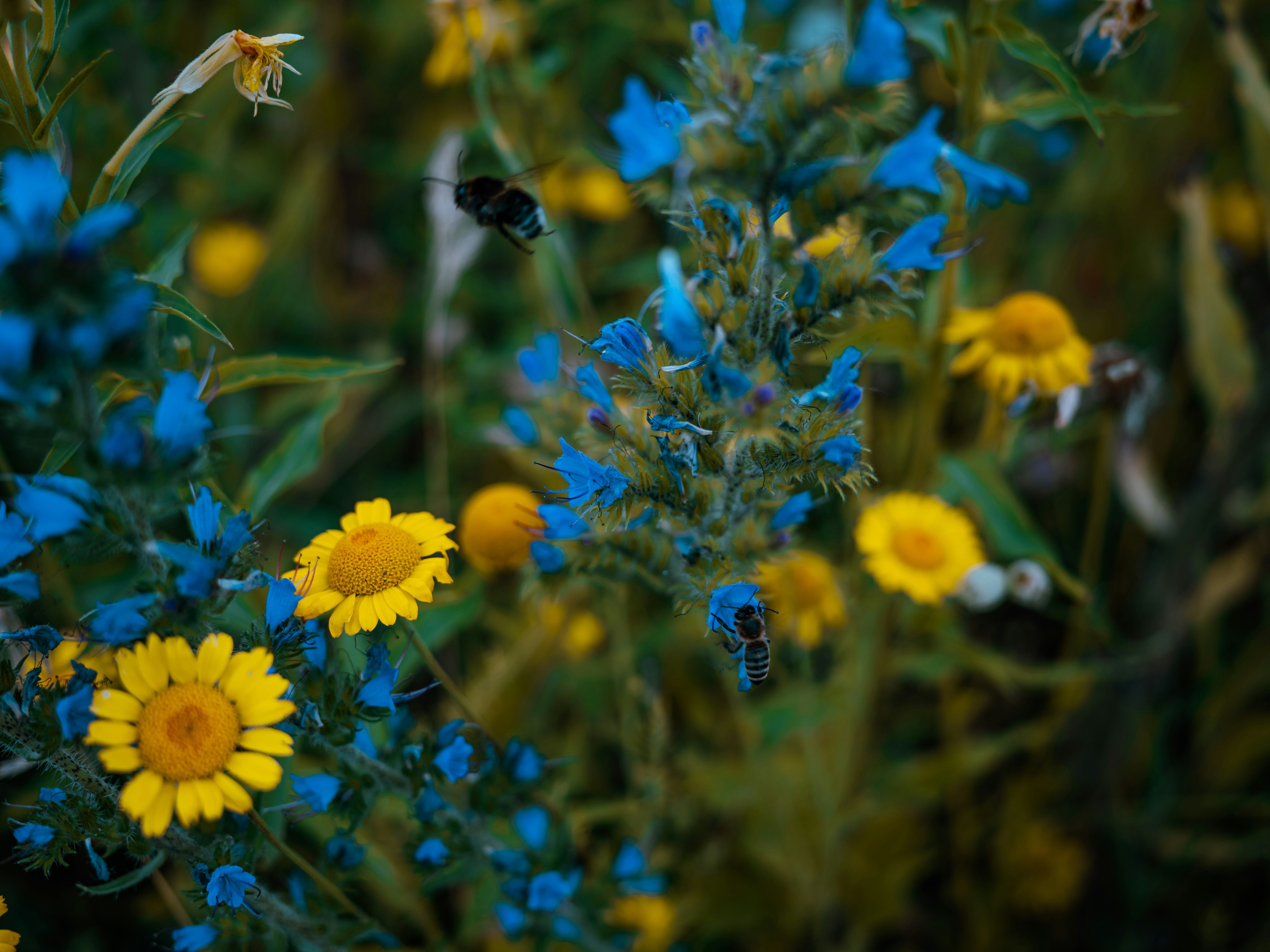 Photo by egorkomarov