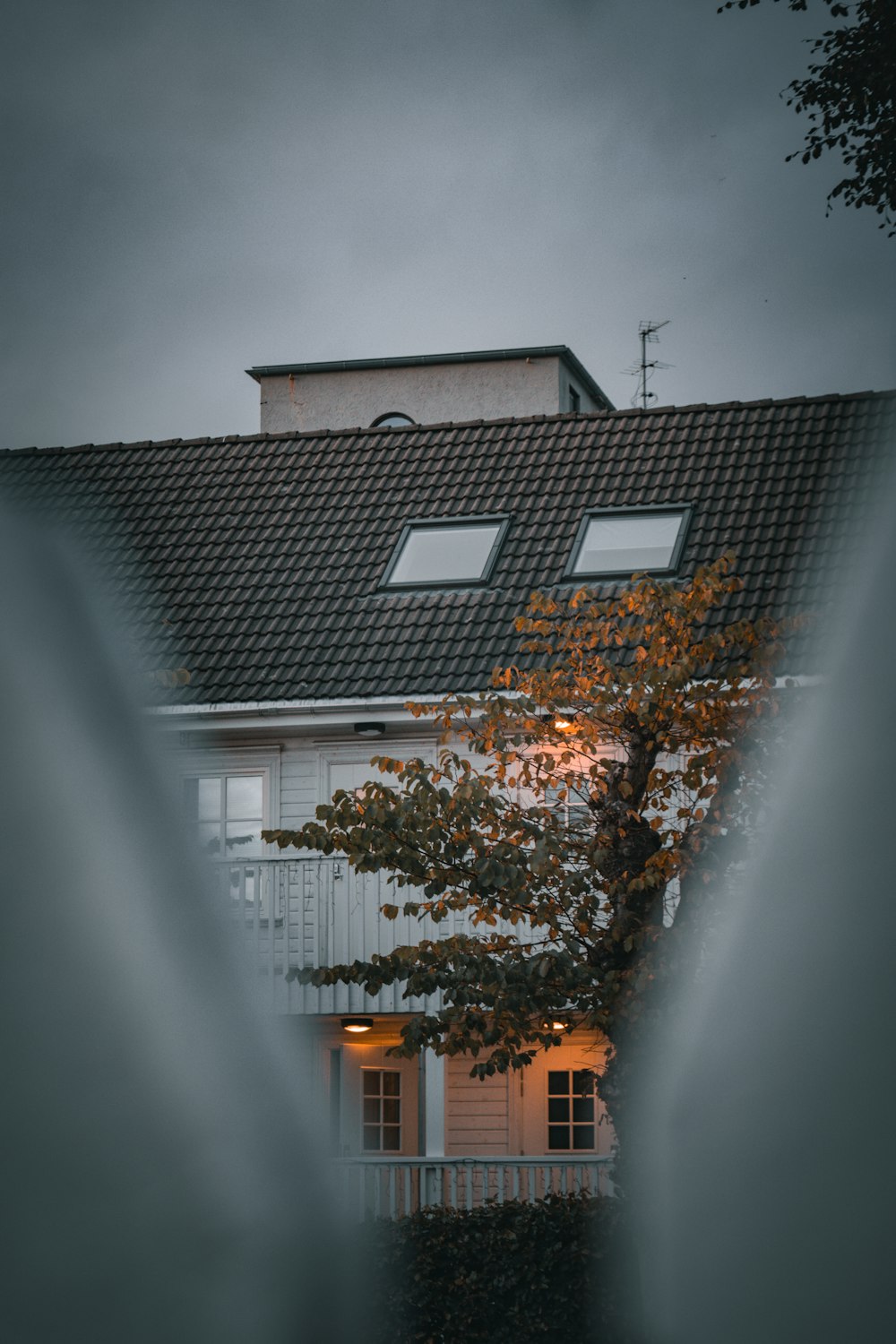 a tree in front of a house