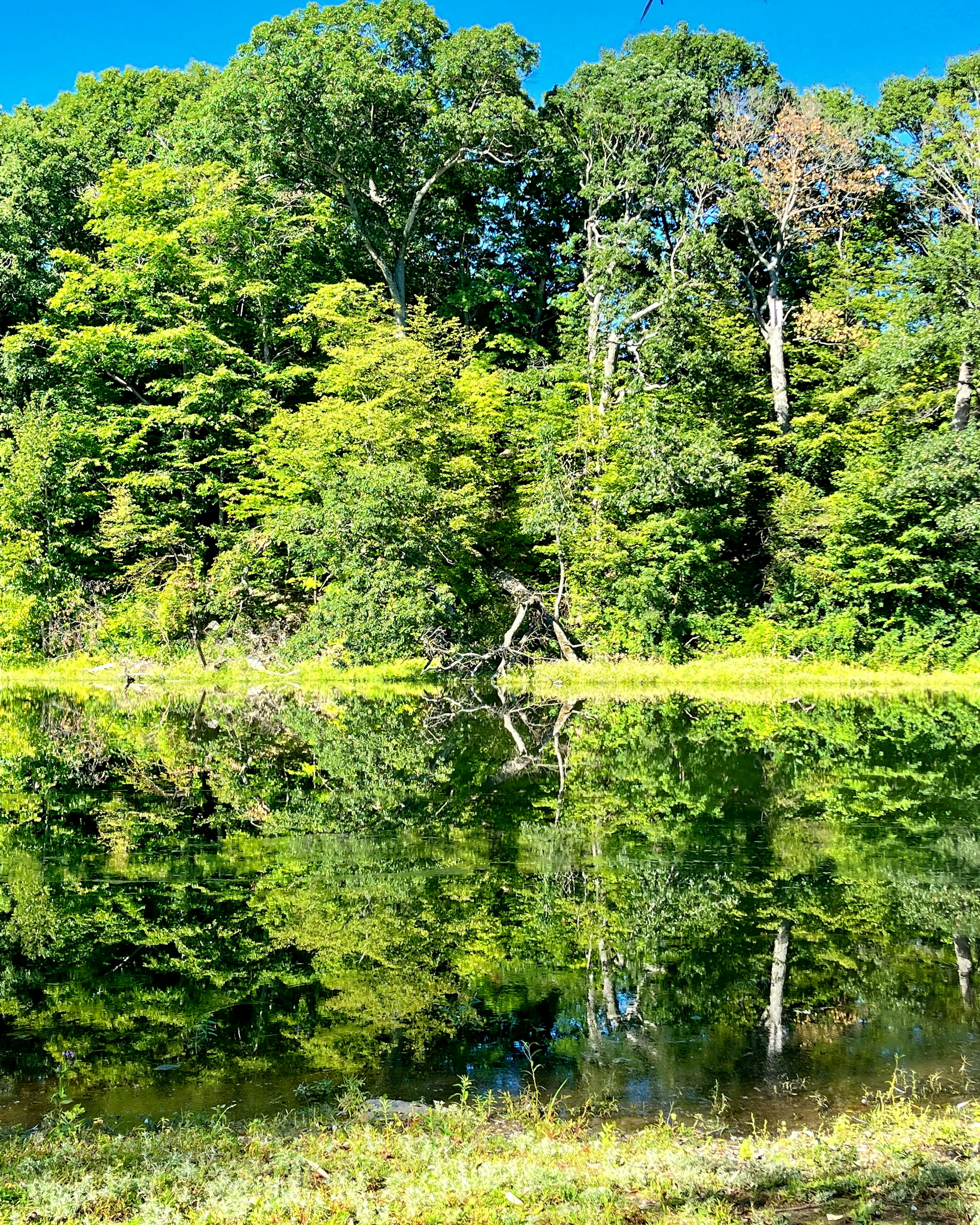 Photo by itsfullofstars